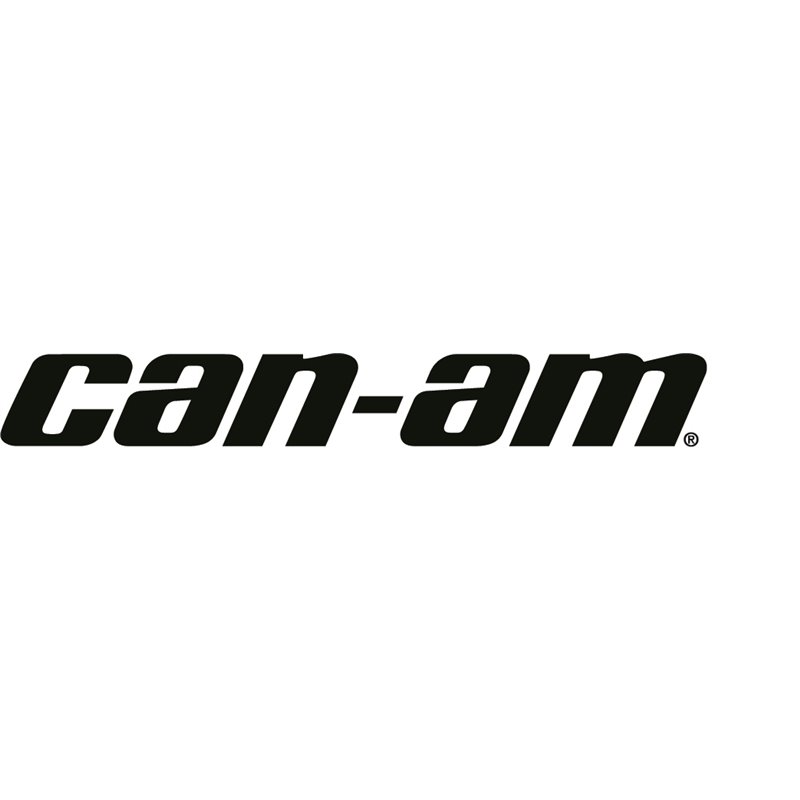 Ensemble de plaquettes de frein arrière pour Ryker Can-Am Ensemble de plaquettes de frein arrière pour Ryker Can-Am